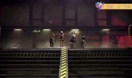 最新爆料地下蚁人,神秘生物的生存智慧与生态奥秘