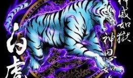 最新爆料四大神兽,四大神兽神秘力量全新揭秘