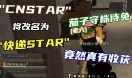 pibg皮肤最新爆料,神秘元素揭示，视觉盛宴即将来袭！