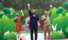 爆料鸡西女孩事件视频最新,真相与争议交织