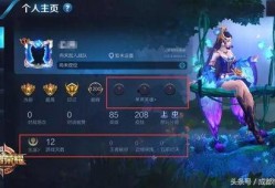 王者游戏爆料最新,神秘英雄登场，战局再掀风云！