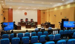 湖南副主任爆料案件最新,揭开权力滥用黑幕