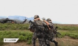 最新军区爆料视频,震撼视频曝光惊人内幕