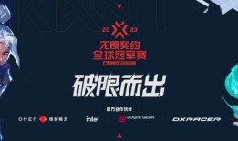 国服无畏契约最新爆料,神秘英雄登场，战局再掀风云