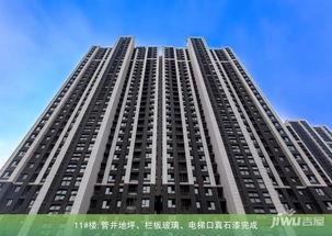 永威城最新爆料消息,揭秘神秘项目，未来城市新地标即将崛起